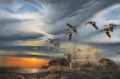 (image for) Silent Sunset Encore II